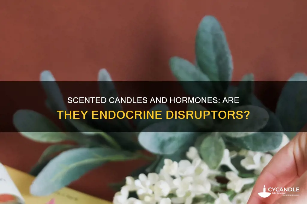 are scented candles endocrine disruptors
