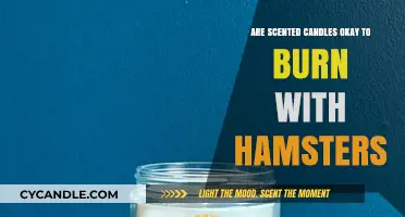 Scented Candles and Hamsters: Safe or Harmful for Your Pet?