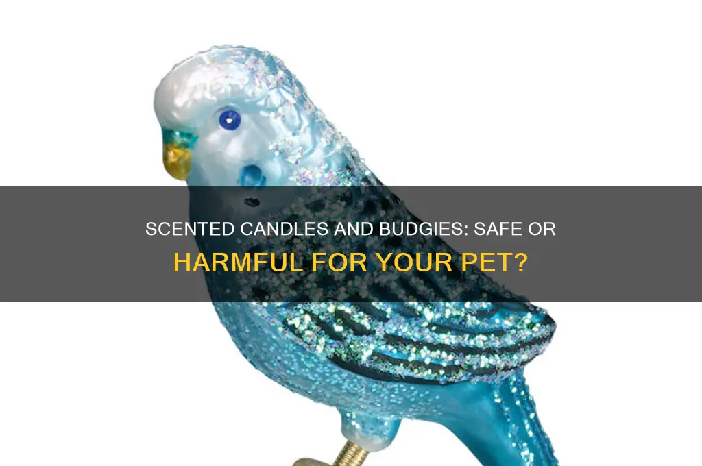 are scented candles safe around budgies