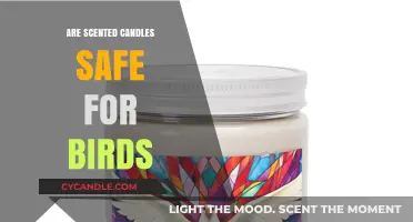 Are Scented Candles Safe for Birds? A Pet Owner's Guide