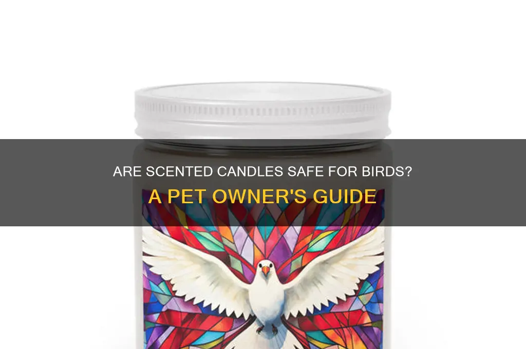 are scented candles safe for birds