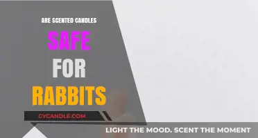 Are Scented Candles Safe for Rabbits? A Pet Owner's Guide