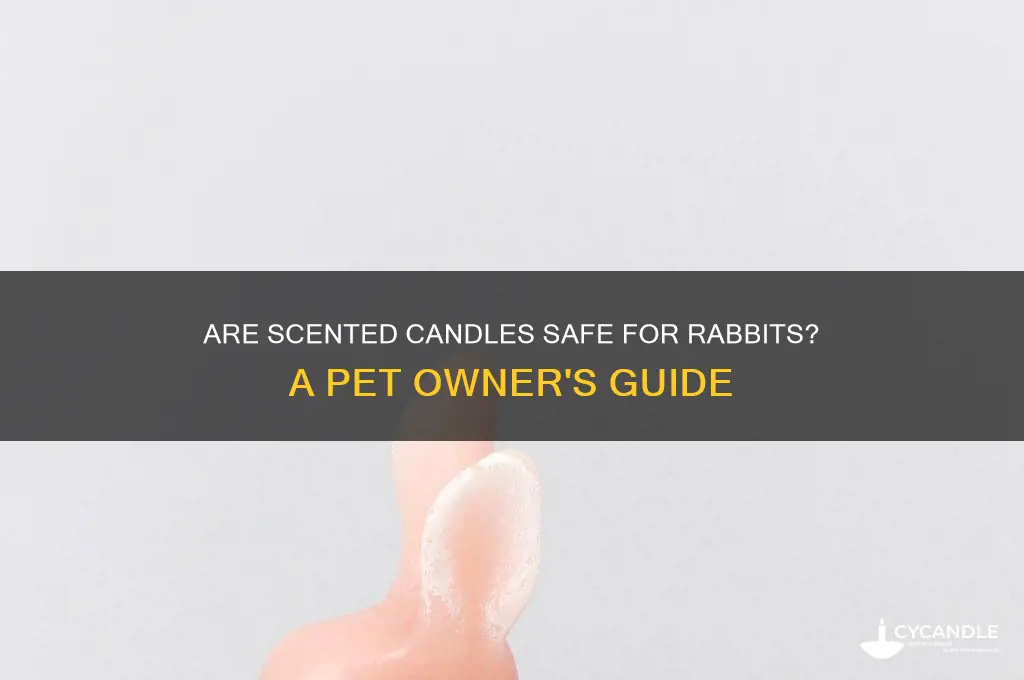 are scented candles safe for rabbits