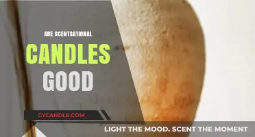 Scentsational Candles: Are They Worth the Hype?