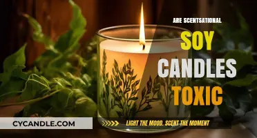 Soy Candles: Toxic Scents or Safe Aromas?