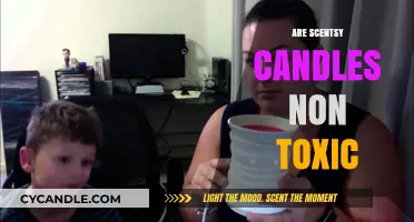 Scentsy Candles: Non-Toxic and Safe for Your Home