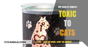 Are Scentsy Candles Safe for Cats?