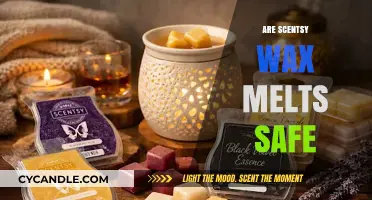 Unveiling the Truth: Are Scentsy Wax Melts Safe for Your Home?
