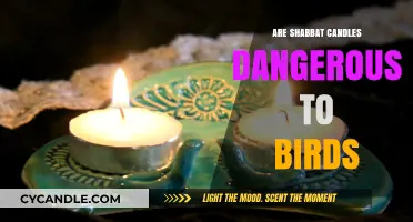 Shabbat Candles: A Bird Hazard?