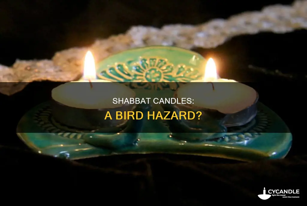 are shabbat candles dangerous to birds