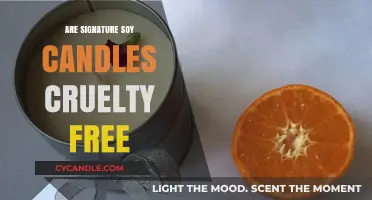 Soy Candles: Cruelty-Free and Vegan Friendly?