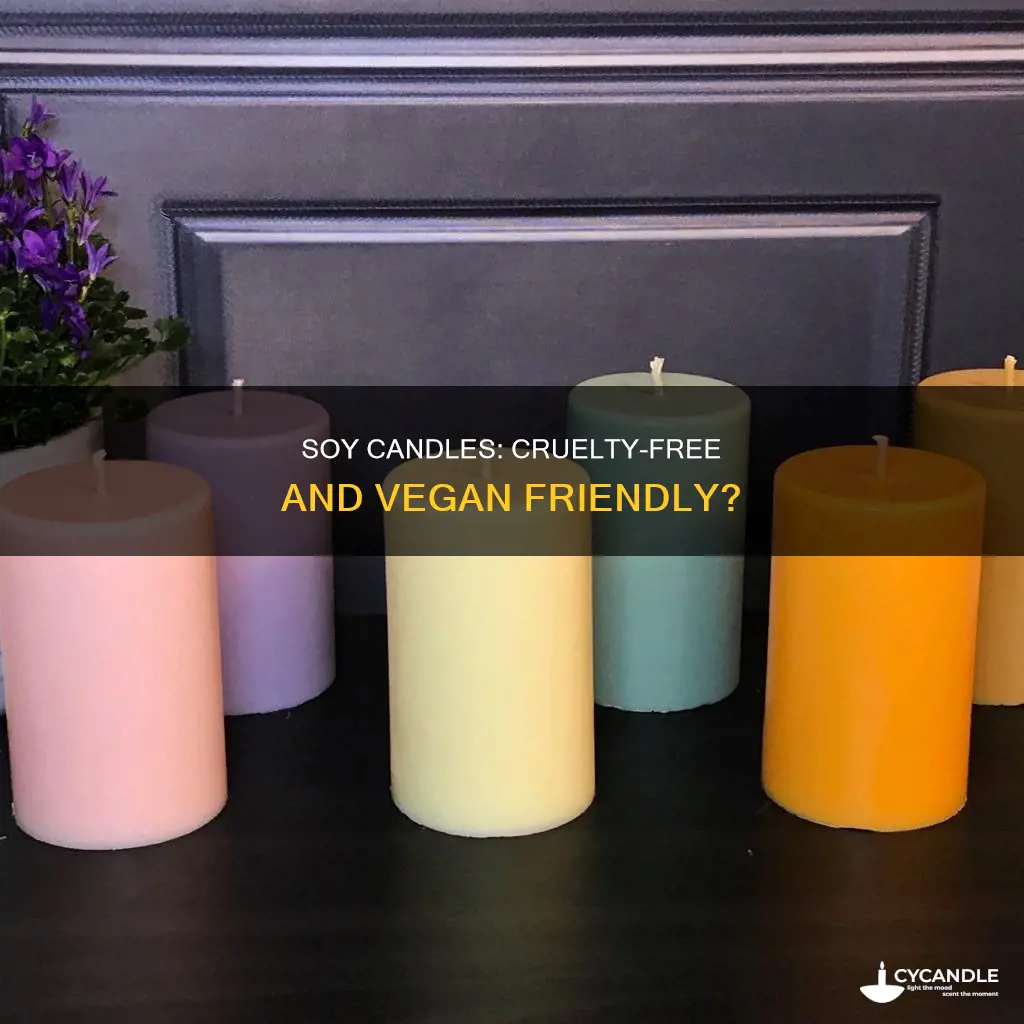 are signature soy candles cruelty free
