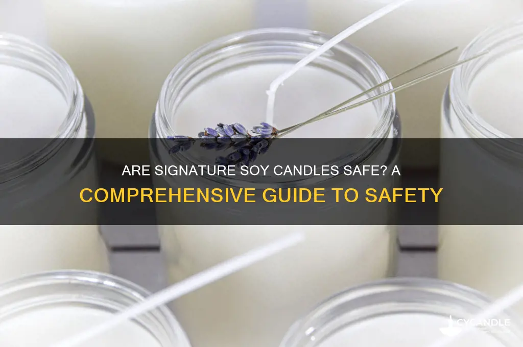 are signature soy candles safe