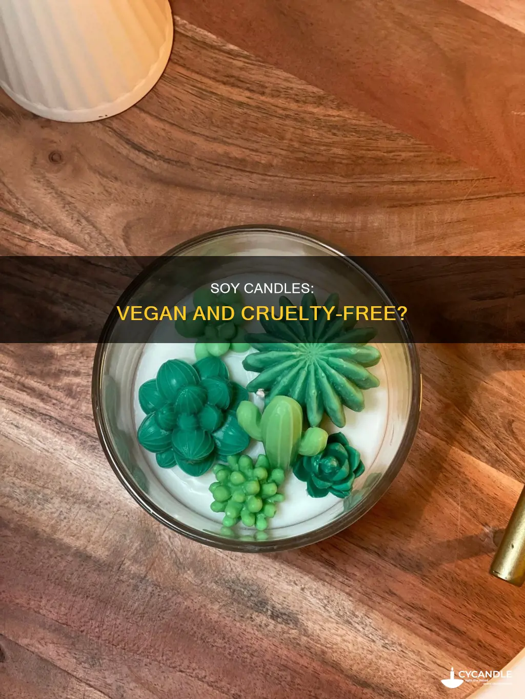 are signature soy candles vegan