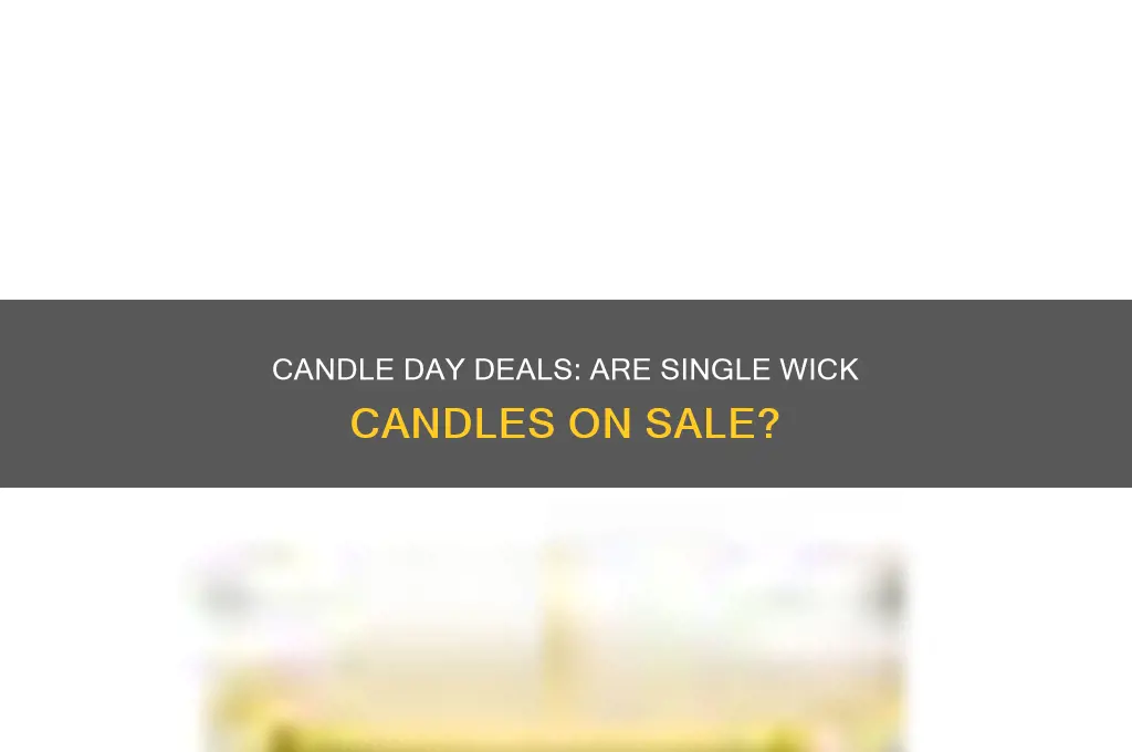 are single wick candles on sale on candle day