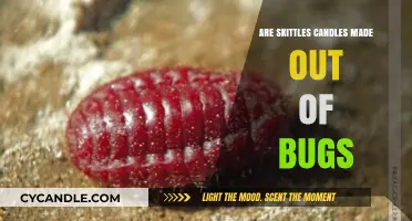 Skittles Candles: Insect-Based Dye?