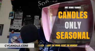 Are Some Yankee Candles Only Seasonal? Exploring Limited Editions