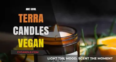 Vegan Soul Terra Candles: Natural and Cruelty-Free?