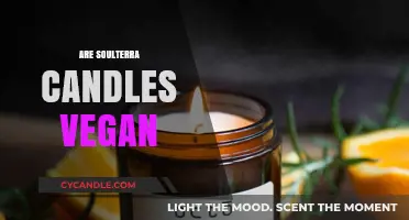 Vegan Soulterra Candles: Natural, Cruelty-Free Comfort