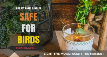 Are Soy-Based Candles Bird-Safe? A Comprehensive Guide for Pet Owners