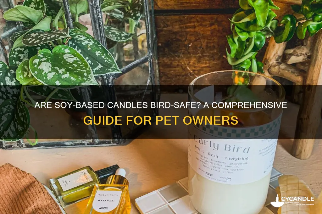 are soy bases candles safe for birds