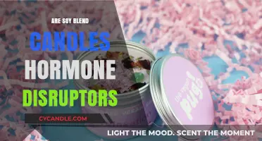 Soy Candles: Hormone Disruptors or Not?