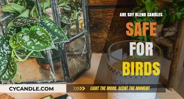 Soy Blend Candles and Birds: Are They a Safe Combination?