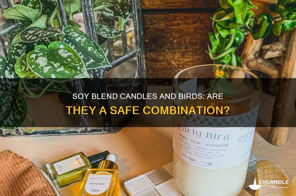 are soy blend candles safe for birds