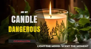 Soy Candles: Are They Safe or Toxic?