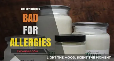 Soy Candles: Allergy-Friendly or Not?