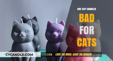 Soy Candles and Cats: What's the Harm?