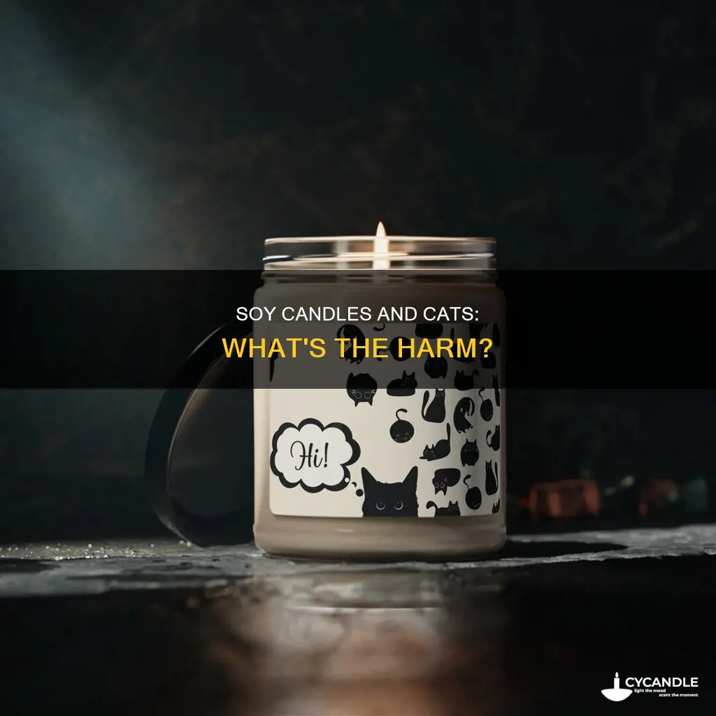 are soy candles bad for cats