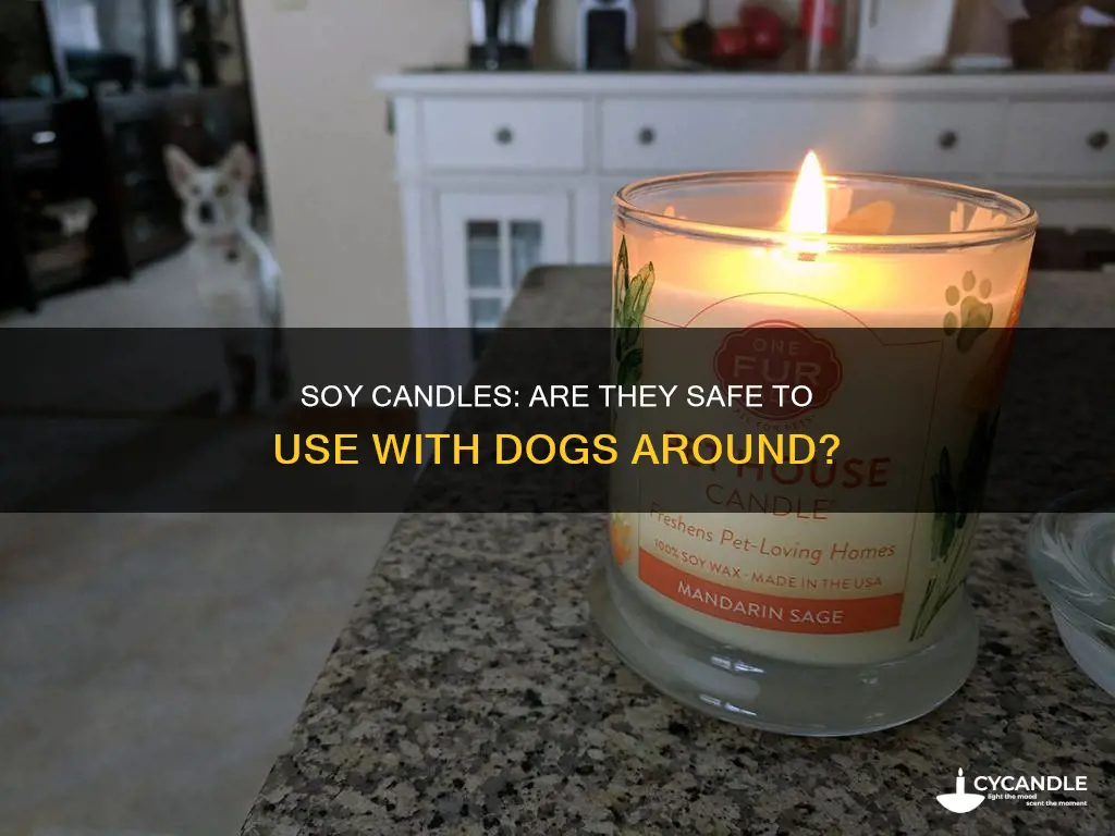 are soy candles bad for dogs