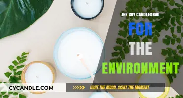 Soy Candles: Eco-Friendly or Eco-Disaster?