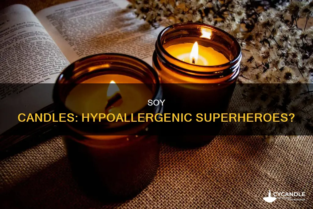 are soy candles hypoallergenic