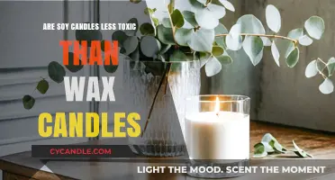 Soy vs. Wax Candles: Which Burns Cleaner and Safer?