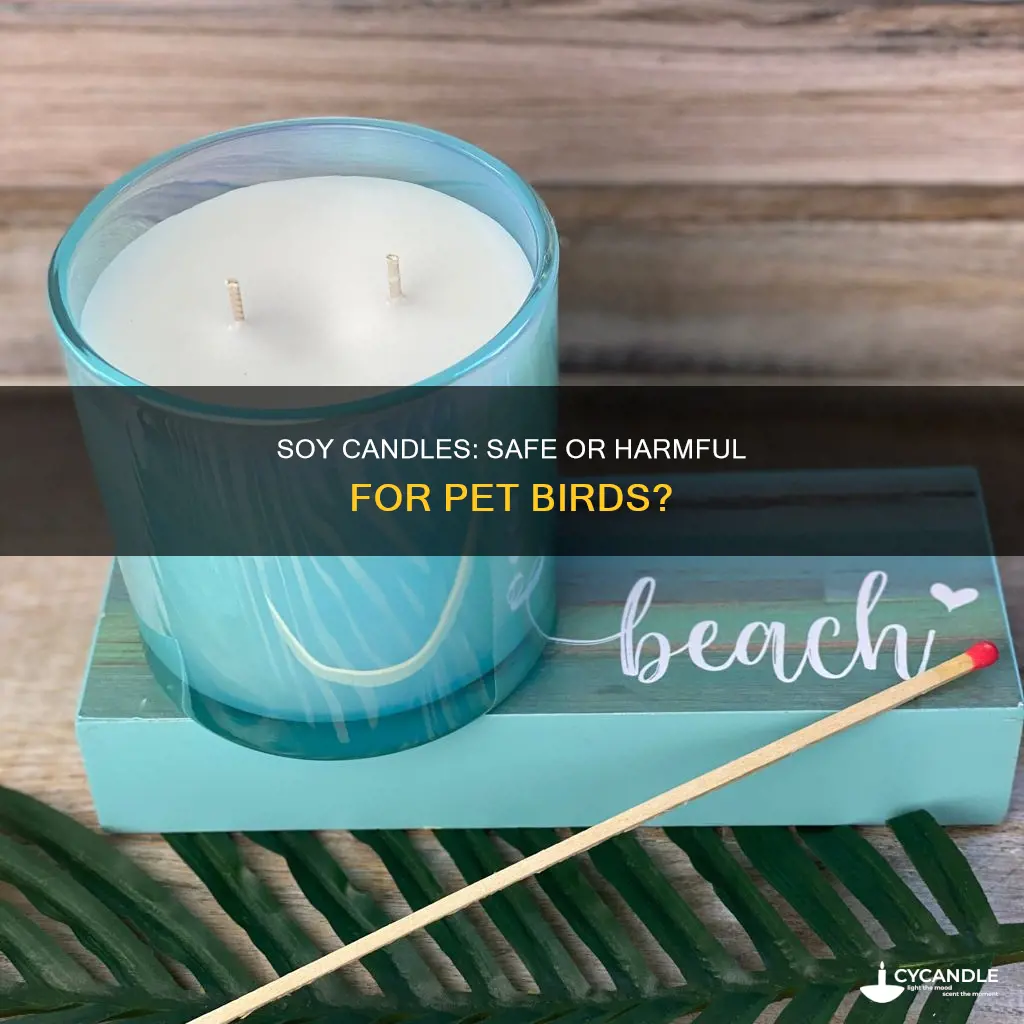 are soy candles ok for birds