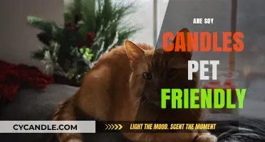 Soy Candles: Pet-Friendly or Not?