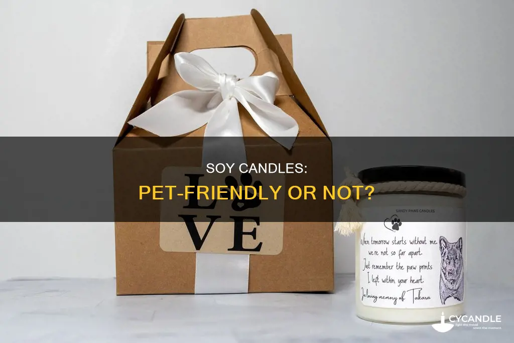 are soy candles pet friendly