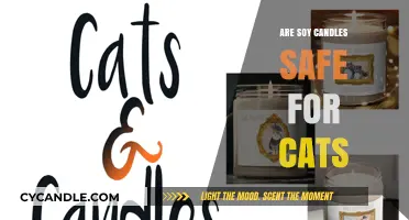Are Soy Candles Safe for Cats? A Pet-Friendly Guide