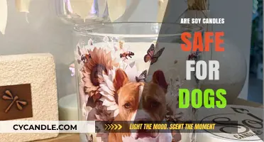 Are Soy Candles Safe for Dogs? A Pet-Friendly Guide