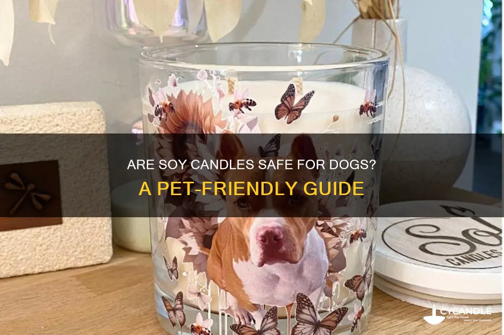 are soy candles safe for dogs