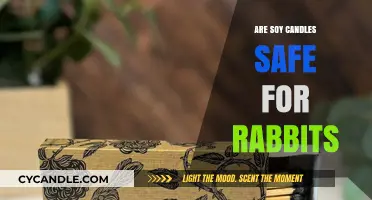 Are Soy Candles Safe for Rabbits? A Pet Owner's Guide