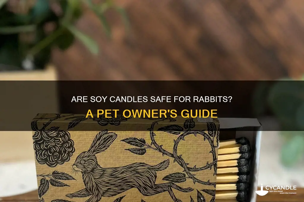 are soy candles safe for rabbits