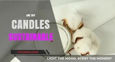 Soy Candles: Sustainable or Greenwashing?