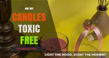 Soy Candles: Toxic-Free Alternative?