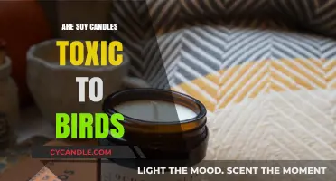 Soy Candles: Toxic Fumes and Our Feathered Friends
