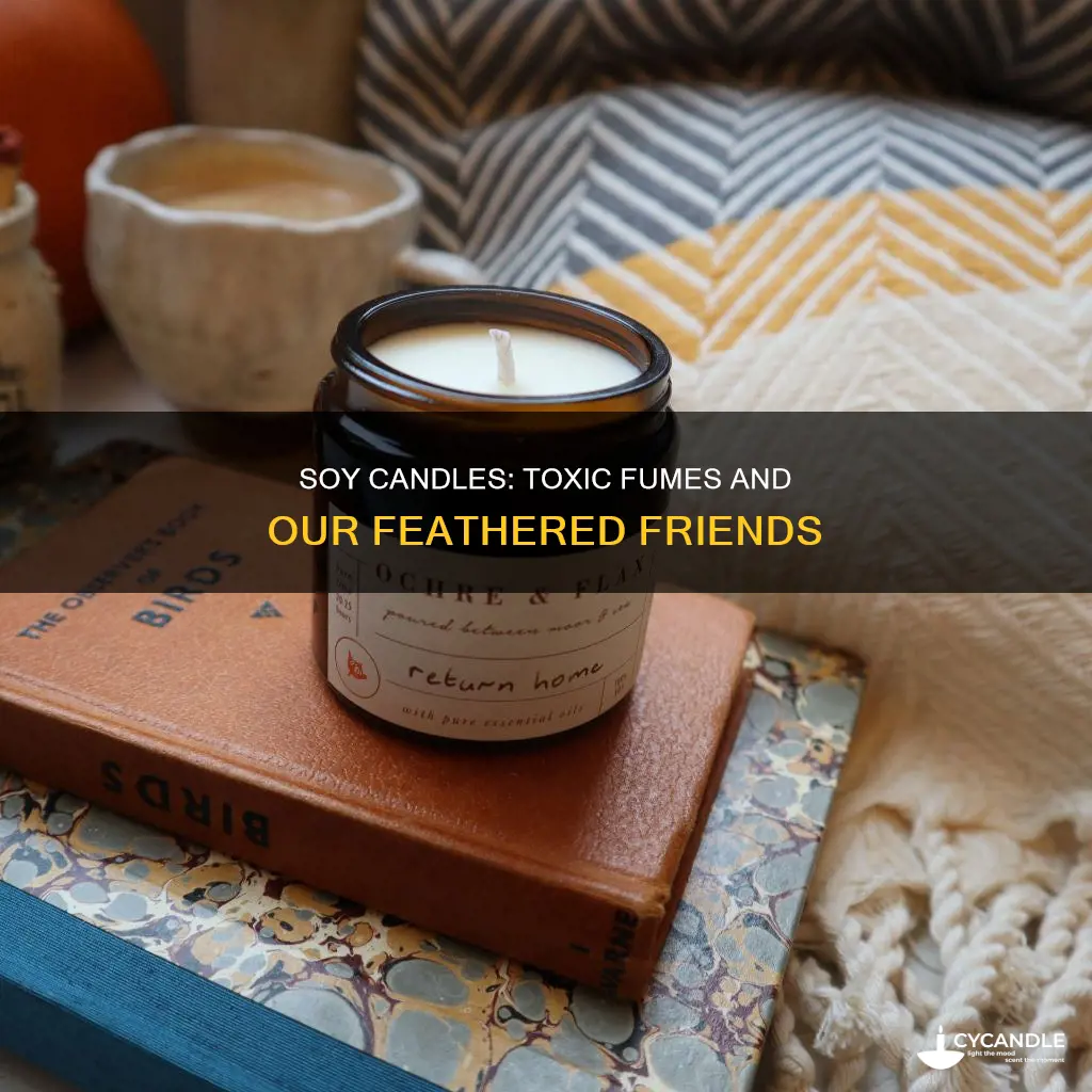 are soy candles toxic to birds