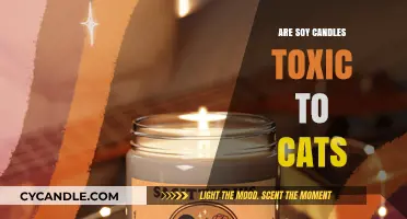 Soy Candles and Cats: Toxic or Safe?