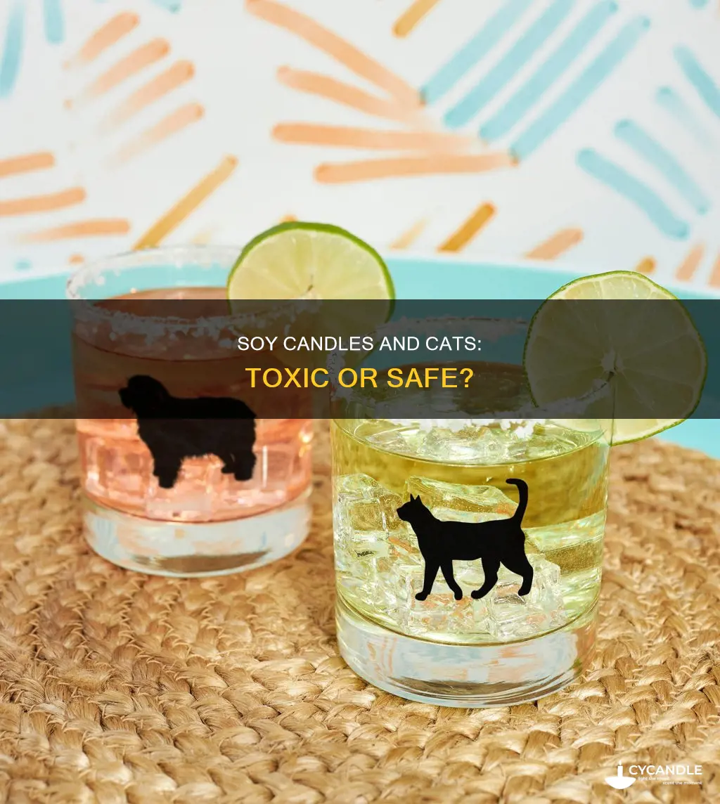 are soy candles toxic to cats